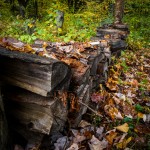 Wood pile under leaves