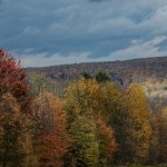 Fall foliage