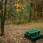 picnic table